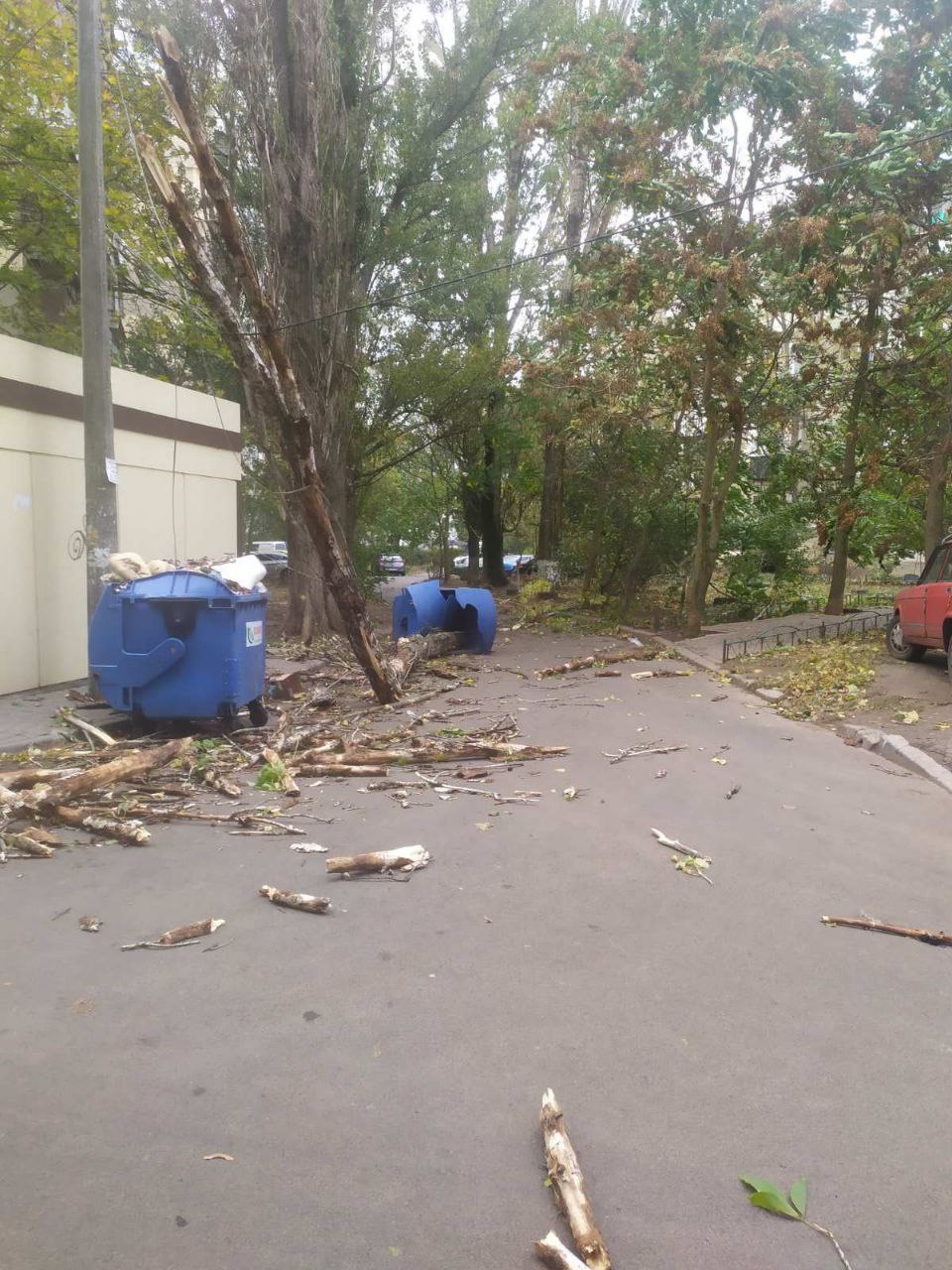 На півдні вирує негода: в Одесі та Херсоні – деревопад (фото)